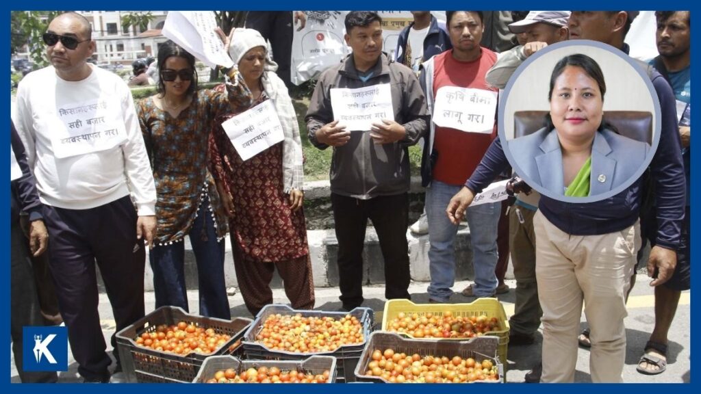 सडकमा टमाटर फालेर आन्दोलित किसानसँग कृषि मन्त्री चौधरीको छलफल; आन्दोलित किसानलाई मन्त्रालयमै बोलाएर मन्त्रीले भनिन्— ‘समस्याको व्यवहारिक समाधान खोज्छौँ’