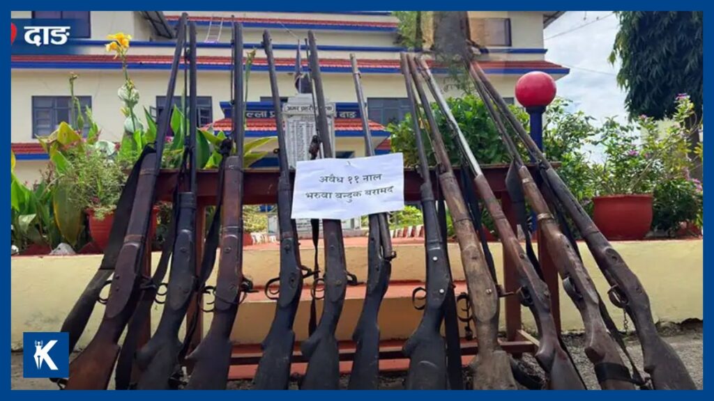 दाङका विभिन्न वनबाट ११ थान भरुवा बन्दुक बरामद