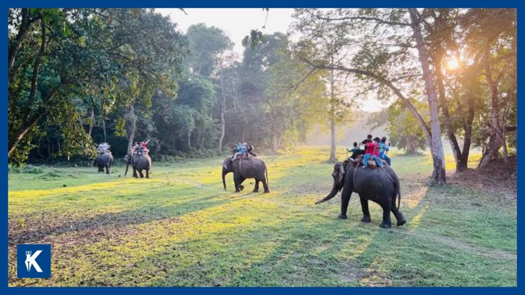 दसैँको समयमा २० हजार पर्यटकले गरे चितवन राष्ट्रिय निकुञ्जको भ्रमण